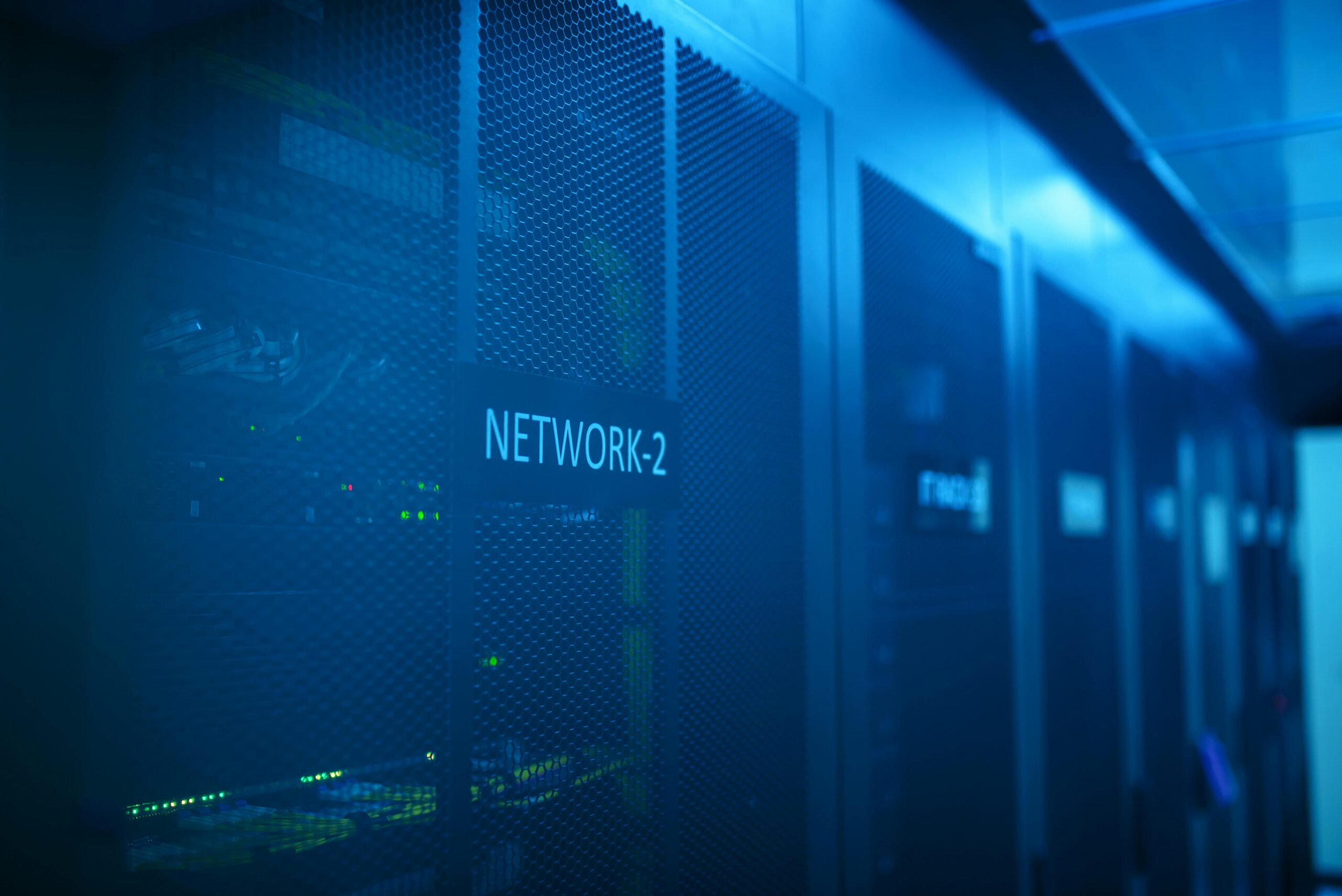 Web Hosting and Servers in 2025: The Foundation of a Digital World
